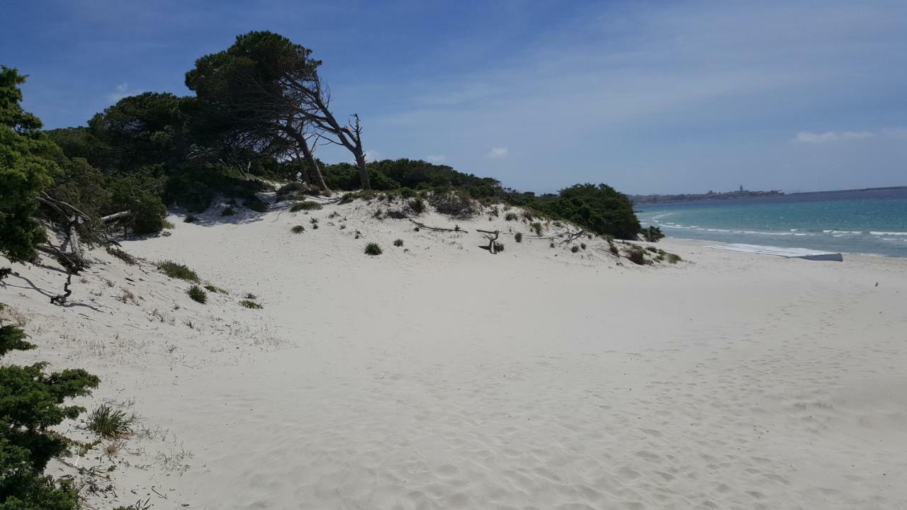Casaale Daire Alghero Dış mekan fotoğraf